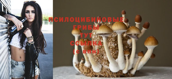 прущие грибы Алексеевка