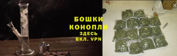 крисы Пестово
