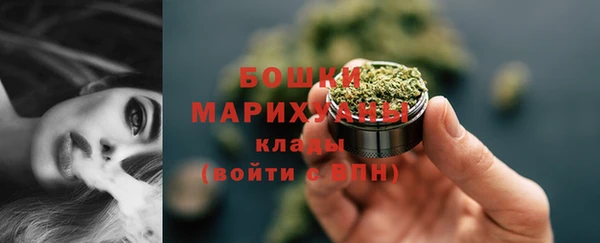 крисы Пестово