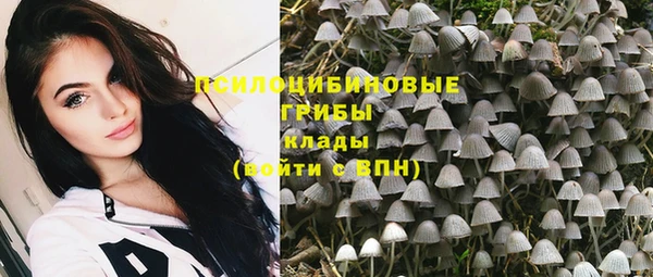 крисы Пестово